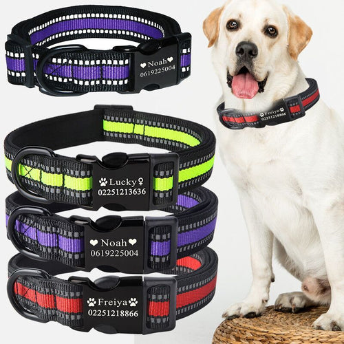 Custom dog collar