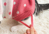 Puppy cat clothes anti-hair fall and winter clothes to keep warm