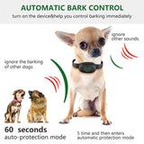 Remote Electronic Remote Control Training Dog Equipment