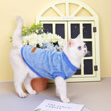 New Autumn And Winter Clothes For Pet Dogs And Cats