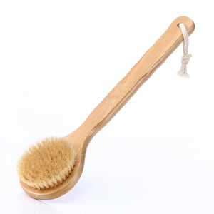 Removable shower brush