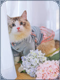 Pet cat clothes