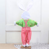 Rabbit Scarecrow Toy