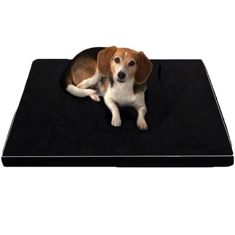 Arthur, Orthopedic Memory Foam Beds for Larger and Elderly Dogs