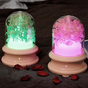 Colorful Night Light Fragrance Humidifier