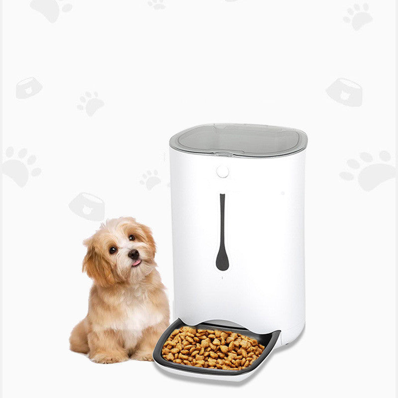 Timed pet video automatic feeder