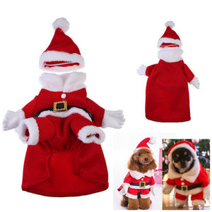 Three Dimensional Pet Dog Christmas Suit