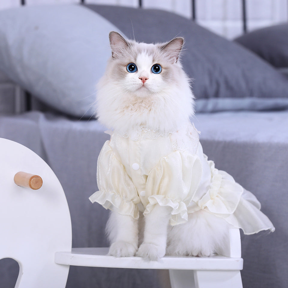 Cat Clothes Thin Anti-hair Loss Pet Kitten